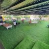 dream park dream park