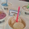 6-gelatos-2-sorbets-at