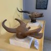 museum unity