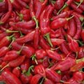chillis
