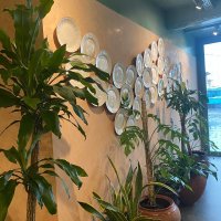 our-plate-wall-is-idea