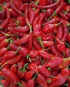 chillis chillis